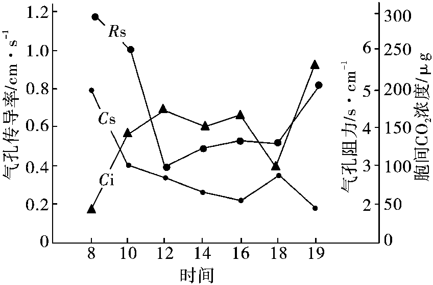 一、光合作用